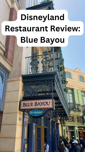 Disneyland Restaurant Blue Bayou Review 