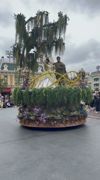 Experience the Magic Parade Dining Package