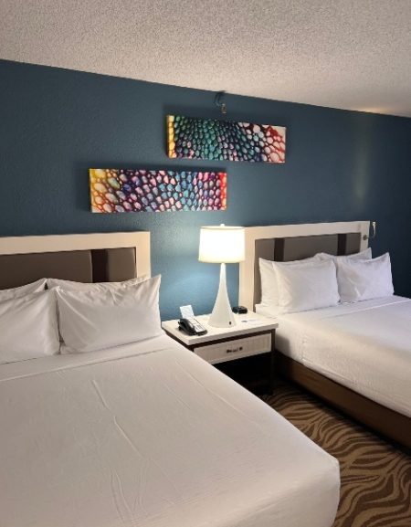 Close to it All! Wyndham Lake Buena Vista Disney Springs