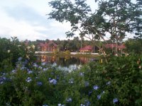 Polynesian Resort