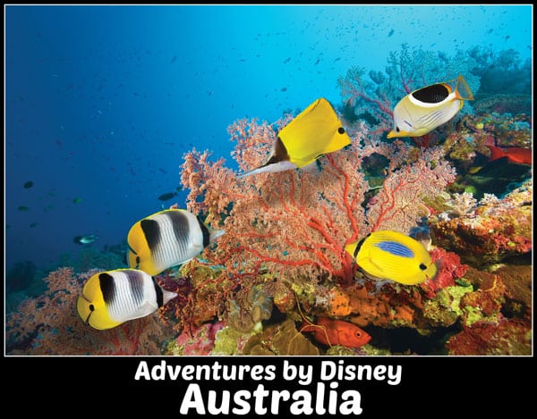 Adventures by Disney Australia Family Vacation