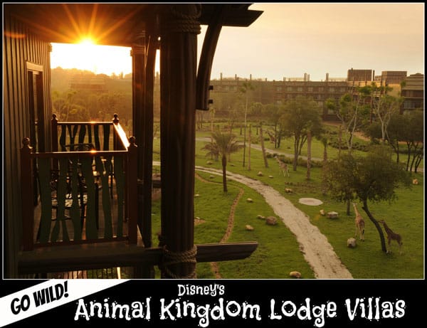 Disney's Animal Kingdom Villas