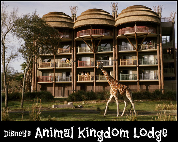 Disney's Animal Kingdom Lodge - The Magic For Less Travel