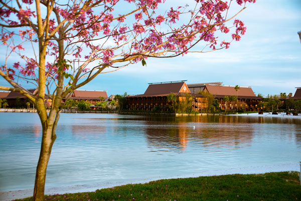Disney's Polynesian Village Resort Rates
