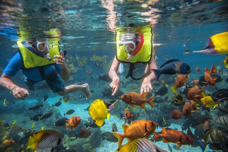 Aulani - Snorkeling - Rainbow Reef