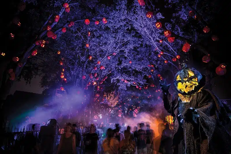 2024 Halloween Horror Nights Scare