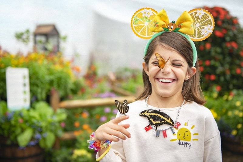 Butterfly House at EPCOT International Flower and Garden Festival