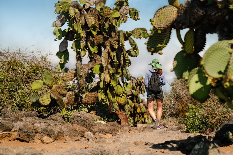 Adventures by Disney Galapagos Hiking