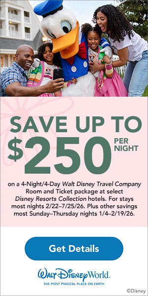 Walt Disney World 2026 Package Deal